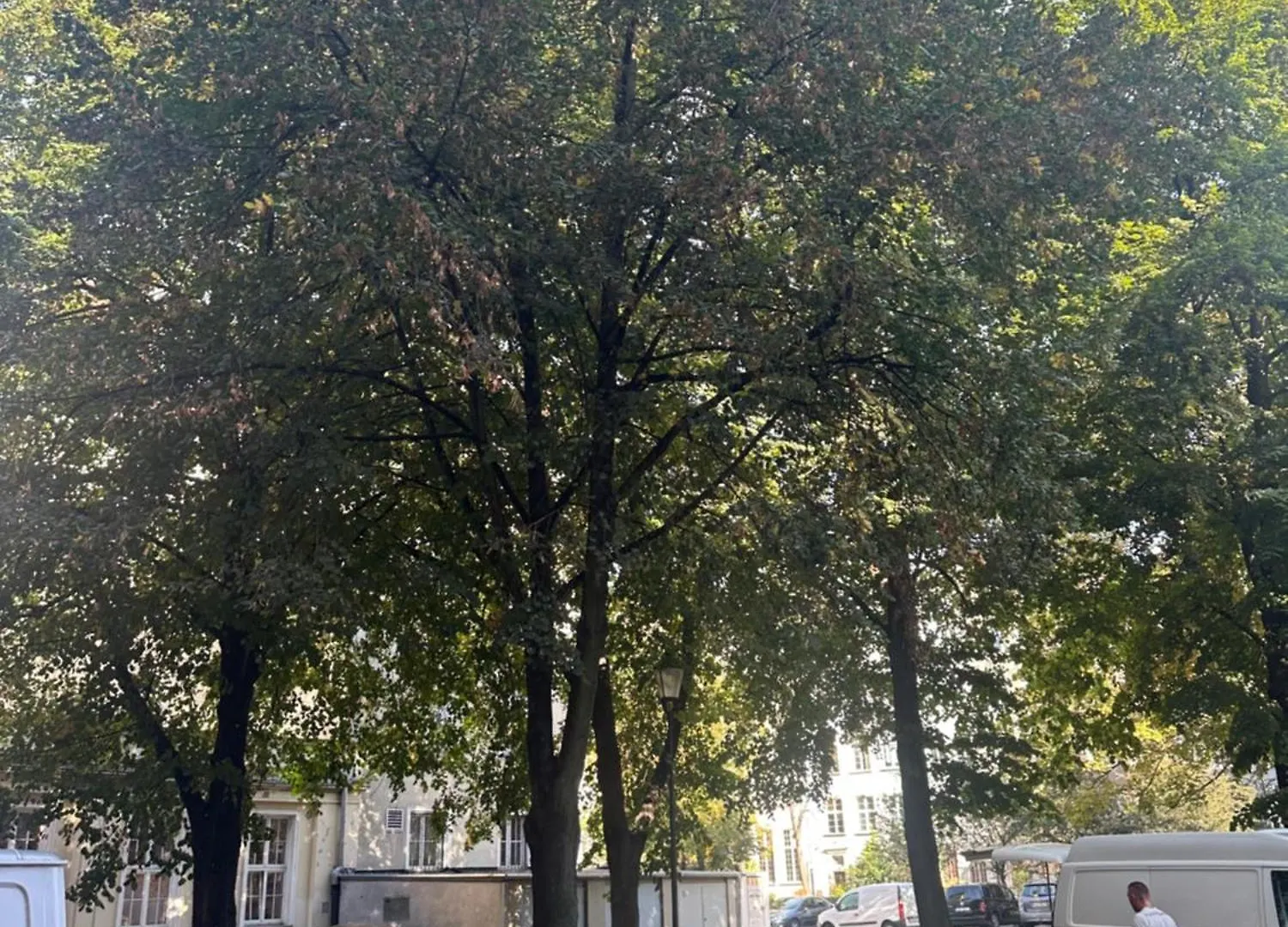 Przytulna Kawalerka Z Antresola W Sercu Gdanska Apartament
